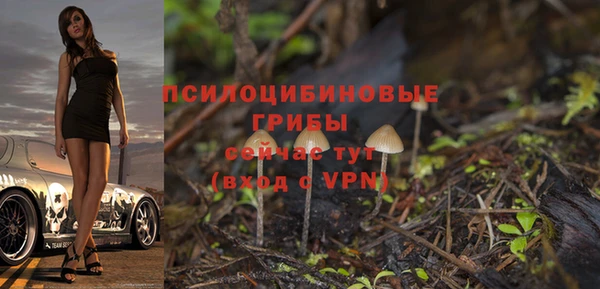 мяу мяу мука Волоколамск