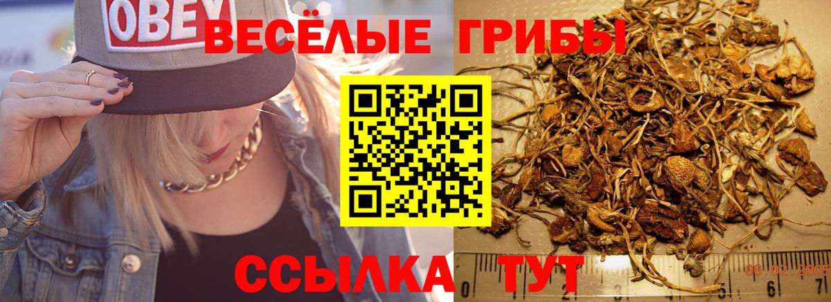 Псилоцибиновые грибы ЛСД  Вход с VPN  Нальчик 