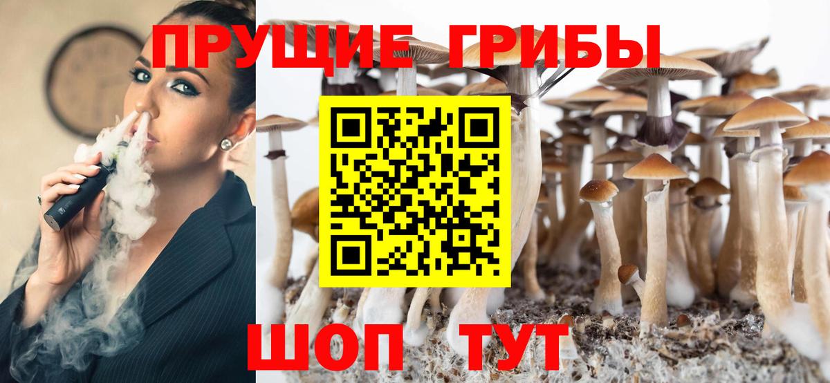 Псилоцибиновые грибы GOLDEN TEACHER Нальчик