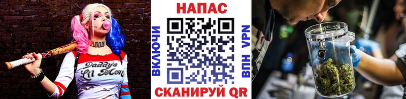 как найти наркотики  Нальчик  Конопля White Widow 
